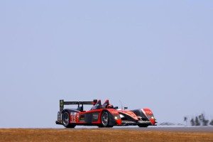 lms-pole-team-oreca-algarve-12634563311968.jpg