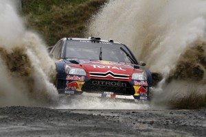citroen-c4-wrc-numeros-12896731163.jpg
