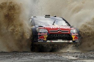 citroen-c4-wrc-numeros-12896731175.jpg