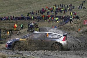 citroen-c4-wrc-numeros-12896731176.jpg