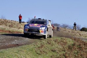 citroen-c4-wrc-numeros-12896731188.jpg